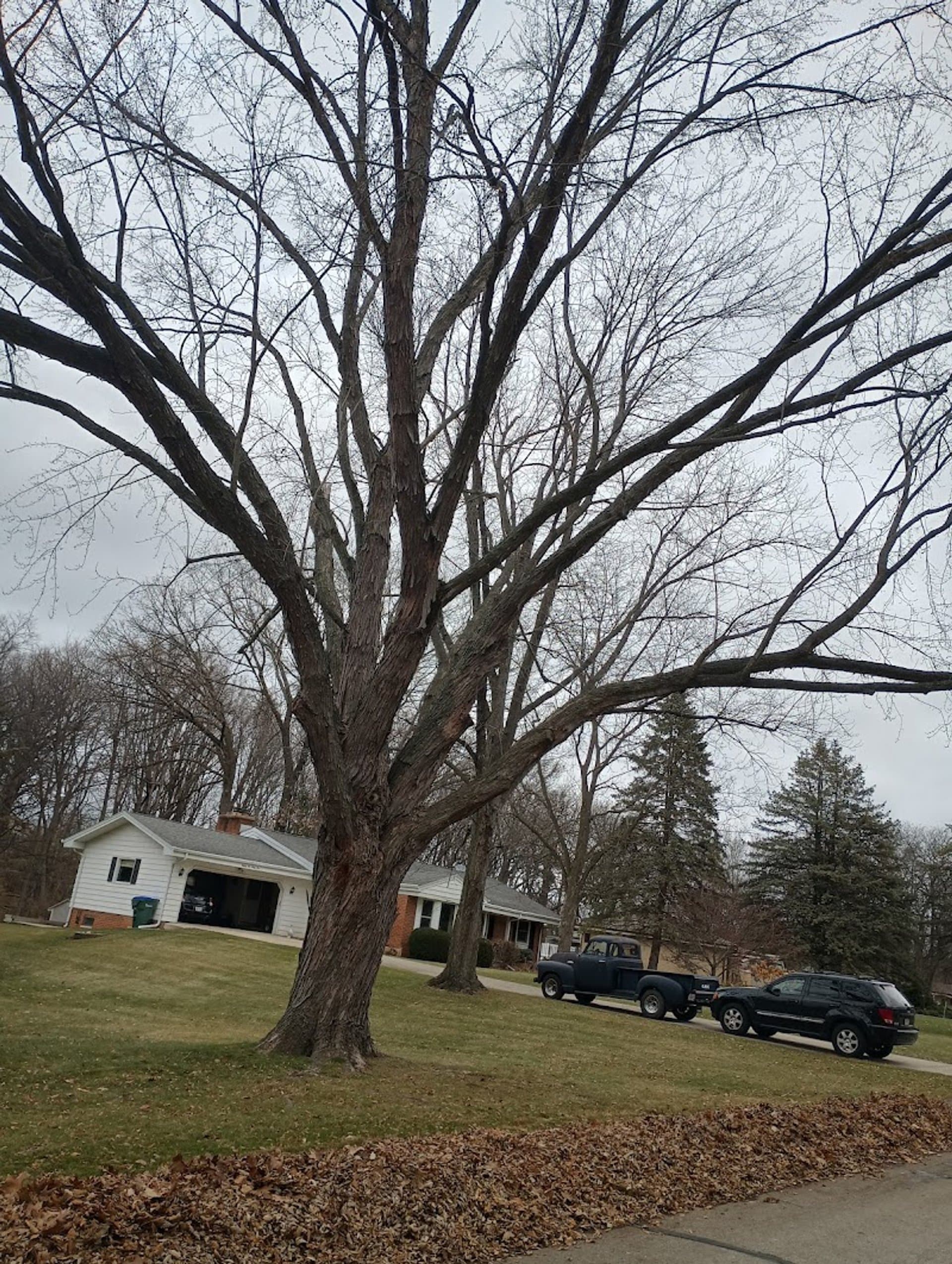 How to Prepare Your Lawn for Winter in Valparaiso