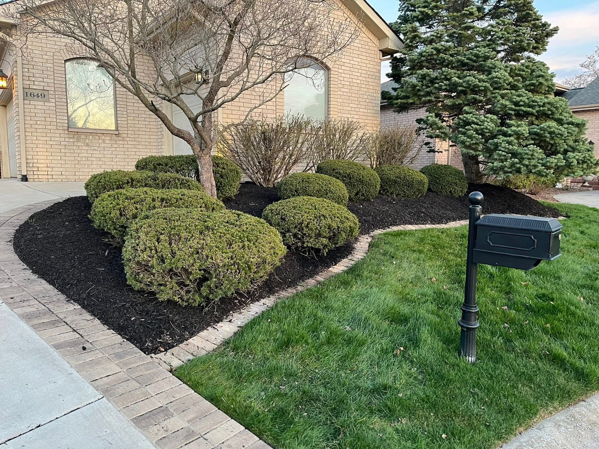 Front yard landscape design